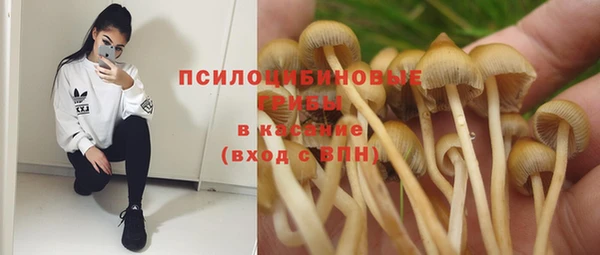 2c-b Лагань